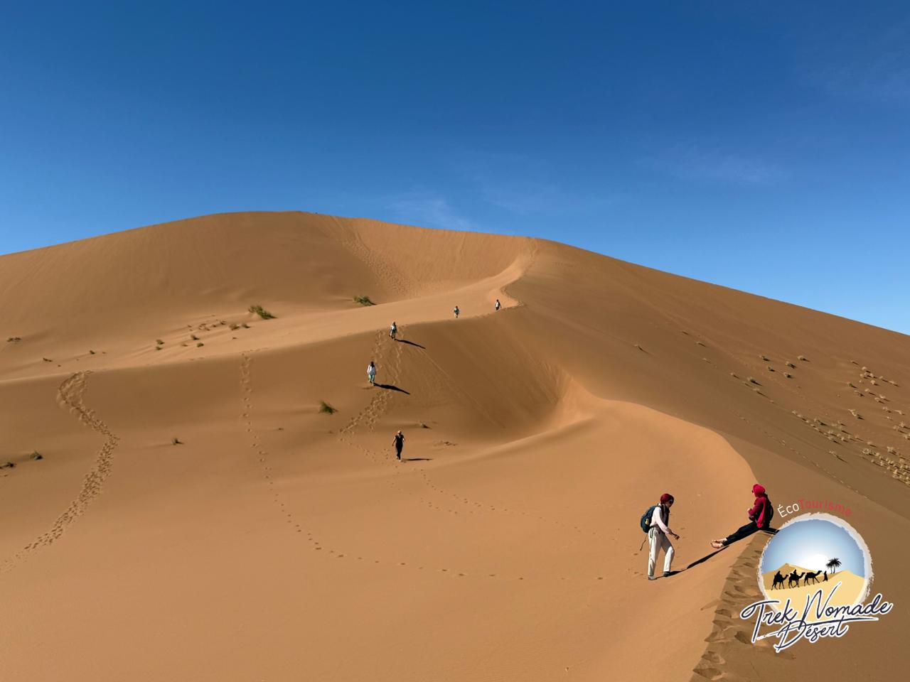 Immersion dans les dunes du Sahara